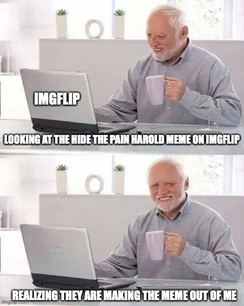 harold is probably depressed now | IMGFLIP; LOOKING AT THE HIDE THE PAIN HAROLD MEME ON IMGFLIP; REALIZING THEY ARE MAKING THE MEME OUT OF ME | image tagged in memes,hide the pain harold | made w/ Imgflip meme maker