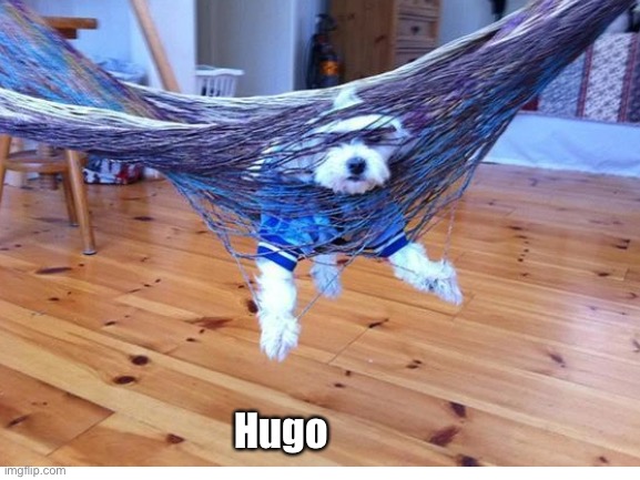 New Juan meme | Hugo | made w/ Imgflip meme maker