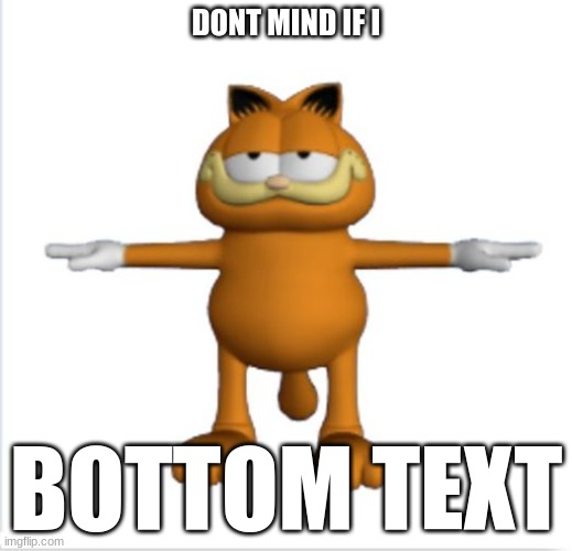 garfield t-pose | DONT MIND IF I; BOTTOM TEXT | image tagged in garfield t-pose | made w/ Imgflip meme maker
