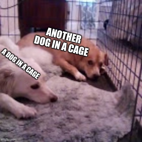 my dogs laying in their old cage | ANOTHER DOG IN A CAGE; A DOG IN A CAGE | made w/ Imgflip meme maker