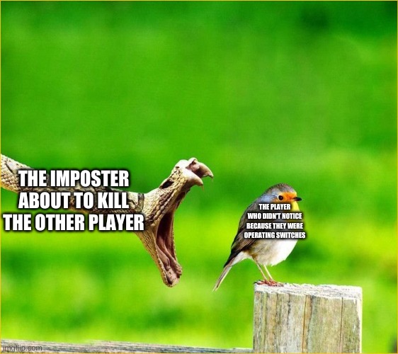 Snake Reality Bites |  THE IMPOSTER ABOUT TO KILL THE OTHER PLAYER; THE PLAYER WHO DIDN'T NOTICE BECAUSE THEY WERE OPERATING SWITCHES | image tagged in snake reality bites | made w/ Imgflip meme maker