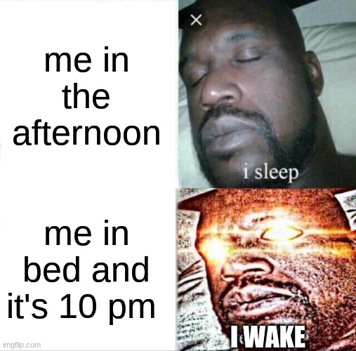 me all the time | me in the afternoon; me in bed and it's 10 pm; I WAKE | image tagged in memes,sleeping shaq | made w/ Imgflip meme maker