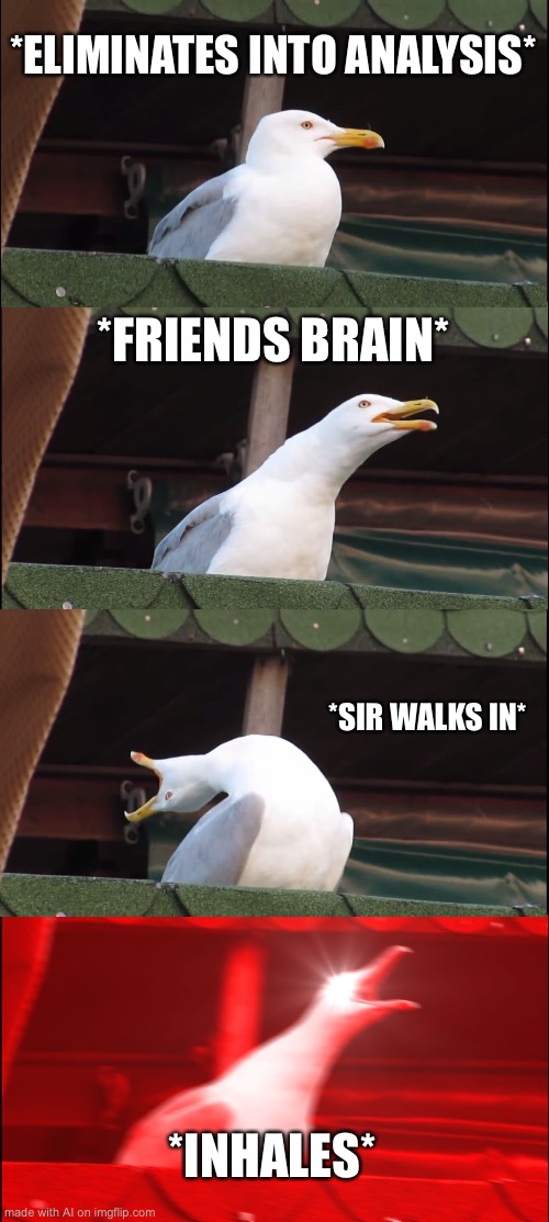 Big inhale | *ELIMINATES INTO ANALYSIS*; *FRIENDS BRAIN*; *SIR WALKS IN*; *INHALES* | image tagged in memes,inhaling seagull,ai meme | made w/ Imgflip meme maker