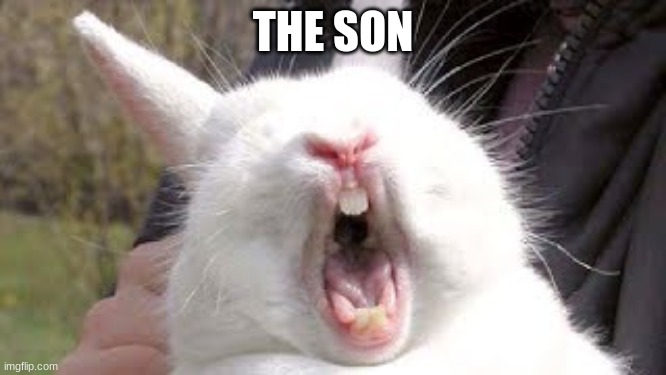 NOOOOOOOO | THE SON | image tagged in noooooooo | made w/ Imgflip meme maker