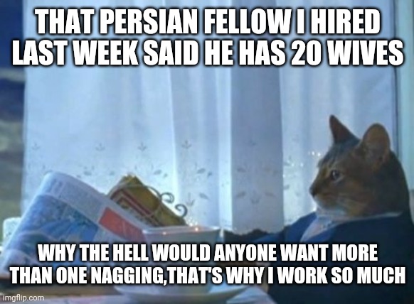 I Should Buy A Boat Cat | THAT PERSIAN FELLOW I HIRED LAST WEEK SAID HE HAS 20 WIVES; WHY THE HELL WOULD ANYONE WANT MORE THAN ONE NAGGING,THAT'S WHY I WORK SO MUCH | image tagged in memes,i should buy a boat cat | made w/ Imgflip meme maker