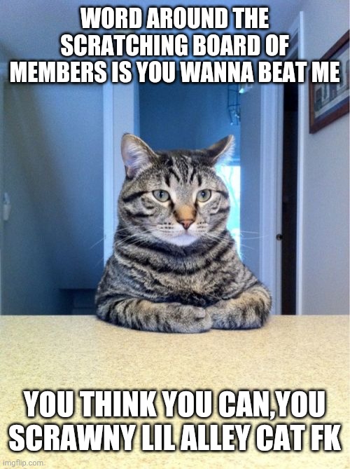 Take A Seat Cat | WORD AROUND THE SCRATCHING BOARD OF MEMBERS IS YOU WANNA BEAT ME; YOU THINK YOU CAN,YOU SCRAWNY LIL ALLEY CAT FK | image tagged in memes,take a seat cat | made w/ Imgflip meme maker