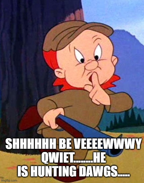 Elmer Fudd | SHHHHHH BE VEEEEWWWY QWIET........HE IS HUNTING DAWGS..... | image tagged in elmer fudd | made w/ Imgflip meme maker