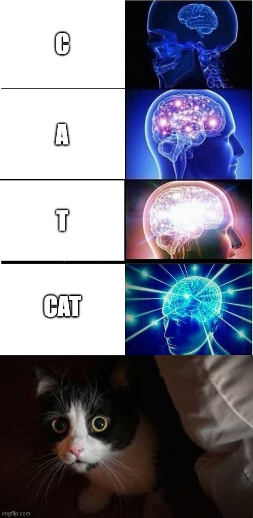 Me knot no how 2 spel | C; A; T; CAT | image tagged in memes,expanding brain,cats,spelling error,animals | made w/ Imgflip meme maker