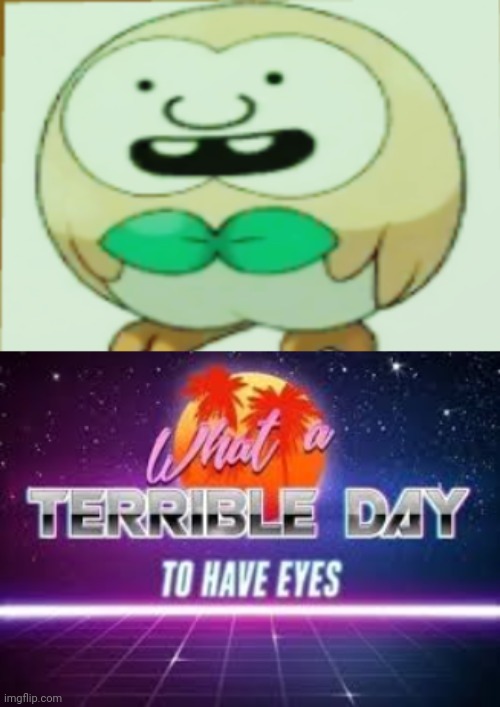 rowlet, from diary of a wimpy Pokémon | image tagged in what a terrible day to have eyes | made w/ Imgflip meme maker