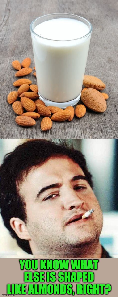 YOU KNOW WHAT ELSE IS SHAPED LIKE ALMONDS, RIGHT? | image tagged in john belushi | made w/ Imgflip meme maker
