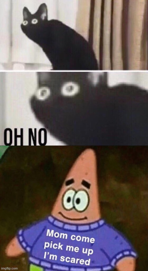 image tagged in oh no cat,mom pick me up i'm scared | made w/ Imgflip meme maker