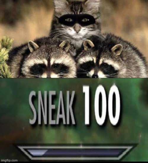 Racoon | image tagged in sneak 100,racoon | made w/ Imgflip meme maker