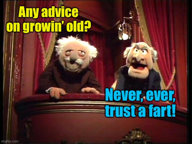 Muppet Wisdom |  Any advice on growin’ old? Never, ever, trust a fart! | image tagged in statler and waldorf,muppets,old people,farts | made w/ Imgflip meme maker