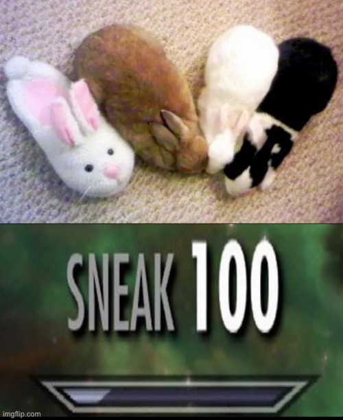 Bunny | image tagged in sneak 100,cute,cute bunny,bunny | made w/ Imgflip meme maker