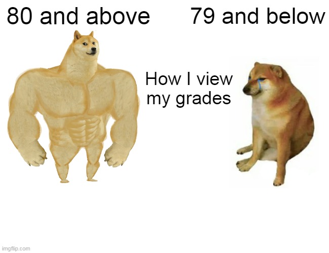 How I view my grades | 80 and above; 79 and below; How I view my grades | image tagged in memes,buff doge vs cheems,school,grades | made w/ Imgflip meme maker