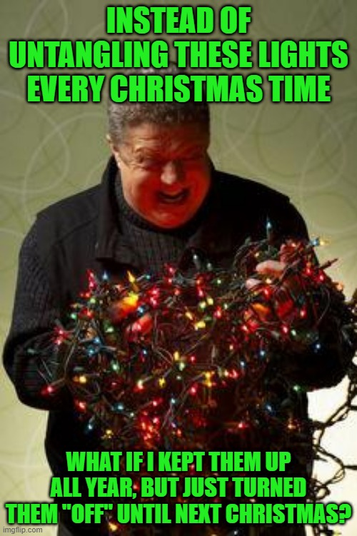 Christmas Lights | INSTEAD OF UNTANGLING THESE LIGHTS EVERY CHRISTMAS TIME; WHAT IF I KEPT THEM UP ALL YEAR, BUT JUST TURNED THEM "OFF" UNTIL NEXT CHRISTMAS? | image tagged in christmas lights | made w/ Imgflip meme maker