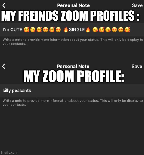 I’m weird | MY FREINDS ZOOM PROFILES :; MY ZOOM PROFILE: | image tagged in middle school | made w/ Imgflip meme maker