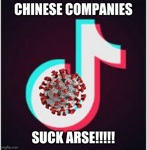 Tik Tok | CHINESE COMPANIES; SUCK ARSE!!!!! | image tagged in tik tok,coronavirus,covid-19,boooooooooooooooooooooooo | made w/ Imgflip meme maker
