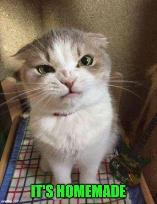 Angry cat | IT'S HOMEMADE | image tagged in angry cat | made w/ Imgflip meme maker
