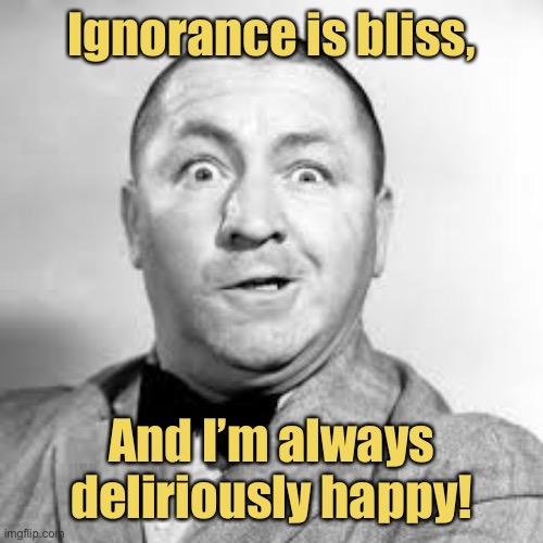curly three stooges | Ignorance is bliss, And I’m always deliriously happy! | image tagged in curly three stooges,happy,ignorant | made w/ Imgflip meme maker