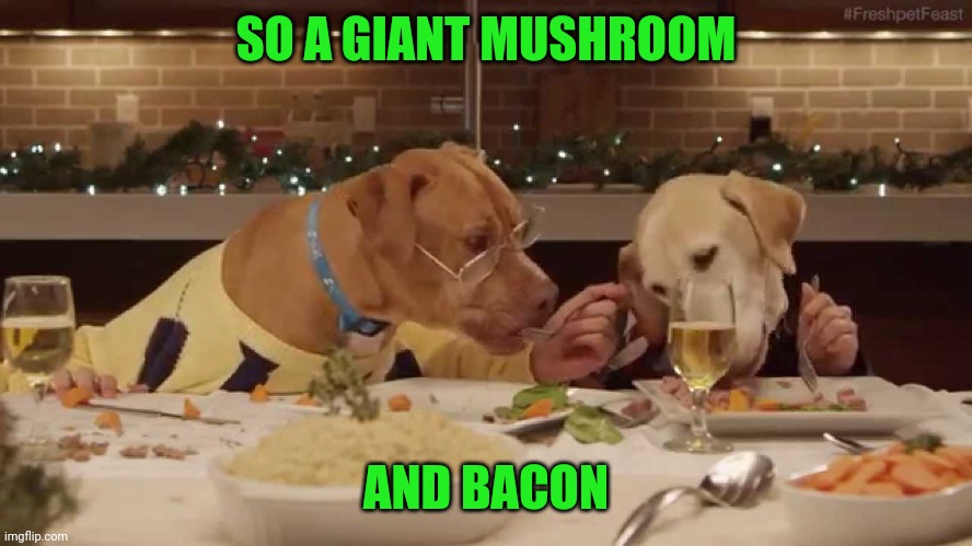 dog dinner | SO A GIANT MUSHROOM AND BACON | image tagged in dog dinner | made w/ Imgflip meme maker