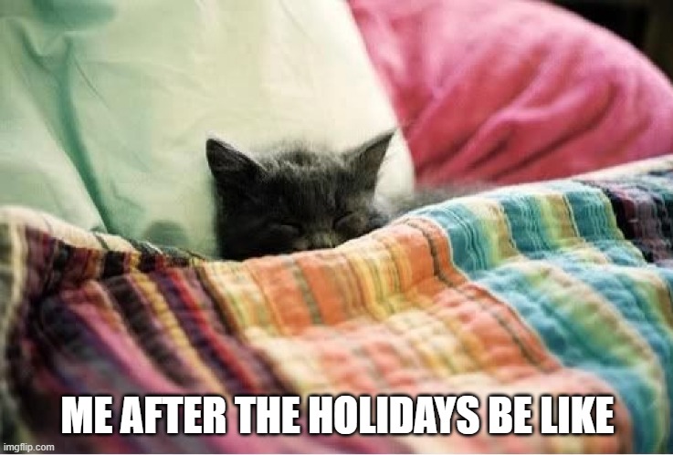 Happy 2021 |  ME AFTER THE HOLIDAYS BE LIKE | image tagged in cats,funny,pets,funny cats,happy new year,2021 | made w/ Imgflip meme maker