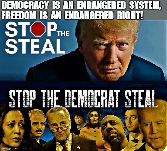 Stop the Steal | DEMOCRACY  IS  AN  ENDANGERED  SYSTEM, 
FREEDOM  IS  AN  ENDANGERED  RIGHT! | image tagged in political meme,stop the steal,elections,donald trump,democrats,election fraud | made w/ Imgflip meme maker