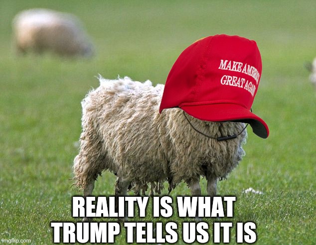 stupid sheep | REALITY IS WHAT TRUMP TELLS US IT IS | image tagged in stupid sheep | made w/ Imgflip meme maker