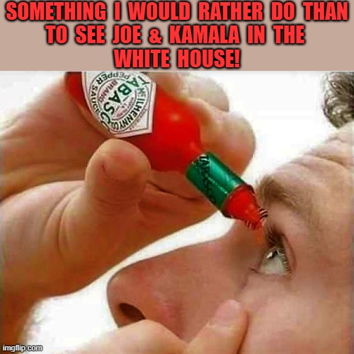 tabasco eye drops | SOMETHING  I  WOULD  RATHER  DO  THAN
TO  SEE  JOE  &  KAMALA  IN  THE 
WHITE  HOUSE! | image tagged in political meme,political humor,joe biden,kamala harris,eye drops,tabasco sauce | made w/ Imgflip meme maker