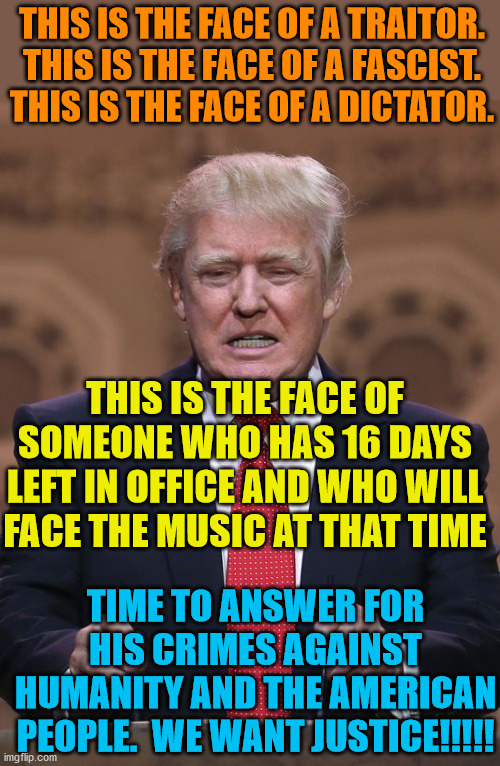 Donald Trump | THIS IS THE FACE OF A TRAITOR.
THIS IS THE FACE OF A FASCIST.
THIS IS THE FACE OF A DICTATOR. THIS IS THE FACE OF SOMEONE WHO HAS 16 DAYS LE | image tagged in donald trump | made w/ Imgflip meme maker