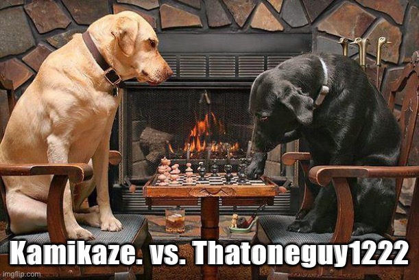 Dogs Playing Chess | Kamikaze. vs. Thatoneguy1222 | image tagged in dogs playing chess | made w/ Imgflip meme maker