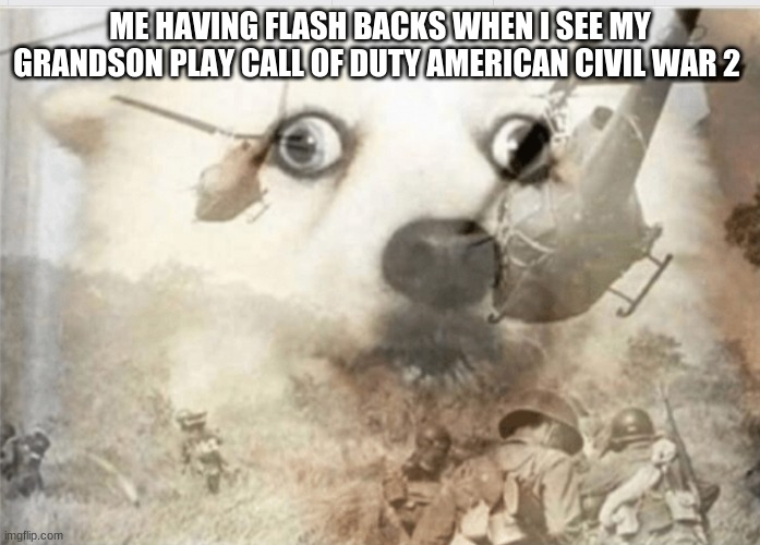 PTSD dog | ME HAVING FLASH BACKS WHEN I SEE MY GRANDSON PLAY CALL OF DUTY AMERICAN CIVIL WAR 2 | image tagged in ptsd dog | made w/ Imgflip meme maker