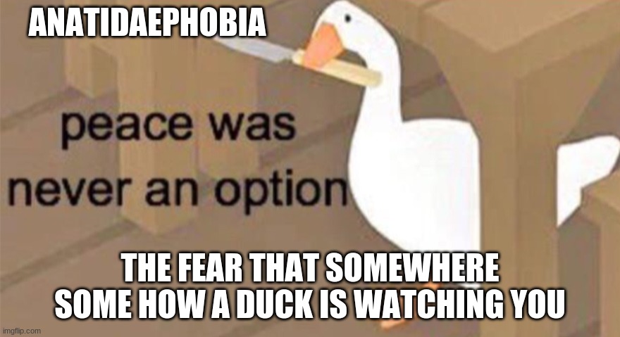 Untitled Goose Peace Was Never an Option | ANATIDAEPHOBIA; THE FEAR THAT SOMEWHERE SOME HOW A DUCK IS WATCHING YOU | image tagged in untitled goose peace was never an option | made w/ Imgflip meme maker