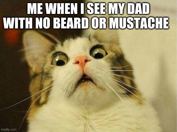 Scared Cat | ME WHEN I SEE MY DAD WITH NO BEARD OR MUSTACHE | image tagged in memes,scared cat | made w/ Imgflip meme maker