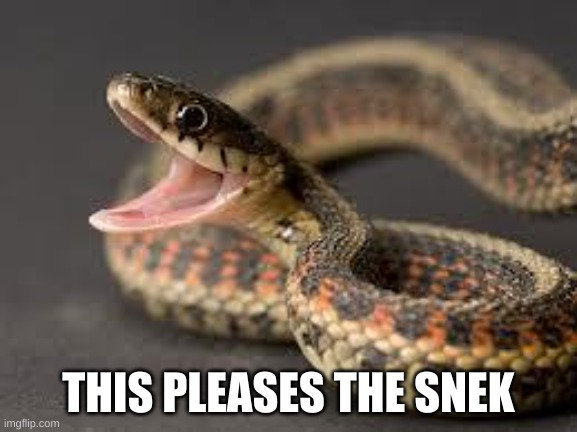 Warning Snake | THIS PLEASES THE SNEK | image tagged in warning snake | made w/ Imgflip meme maker