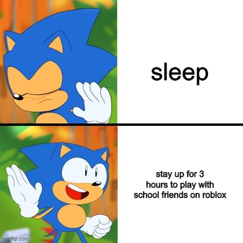 Sonic Drake | sleep; stay up for 3 hours to play with school friends on roblox | image tagged in sonic drake | made w/ Imgflip meme maker