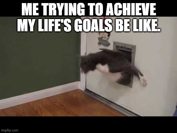 Cat Sticking Head Through Doggy Door | ME TRYING TO ACHIEVE MY LIFE'S GOALS BE LIKE. | image tagged in cat sticking head through doggy door | made w/ Imgflip meme maker