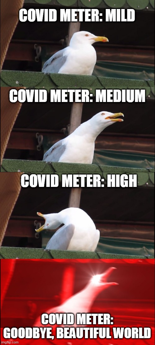 Inhaling Seagull | COVID METER: MILD; COVID METER: MEDIUM; COVID METER: HIGH; COVID METER: GOODBYE, BEAUTIFUL WORLD | image tagged in memes,inhaling seagull | made w/ Imgflip meme maker