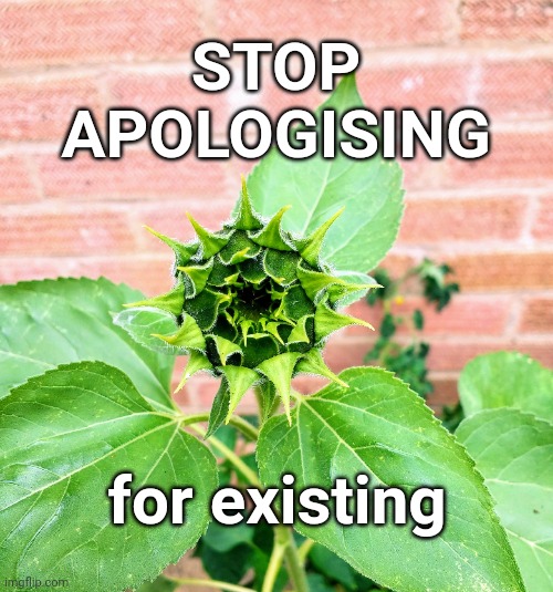 Stop apologising |  STOP
APOLOGISING; for existing | image tagged in affirmation | made w/ Imgflip meme maker