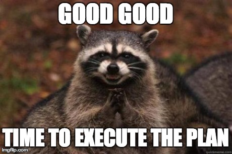 GOOD GOOD TIME TO EXECUTE THE PLAN | image tagged in plotting racoon | made w/ Imgflip meme maker