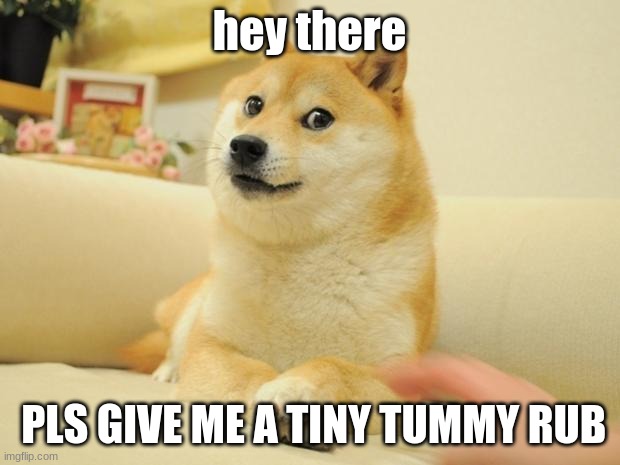 Doge 2 | hey there; PLS GIVE ME A TINY TUMMY RUB | image tagged in memes,doge 2 | made w/ Imgflip meme maker