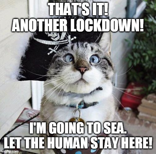 Cat goes pirate | THAT'S IT! ANOTHER LOCKDOWN! I'M GOING TO SEA. LET THE HUMAN STAY HERE! | image tagged in memes,pirate,cat,fed up,leaving,lockdown | made w/ Imgflip meme maker