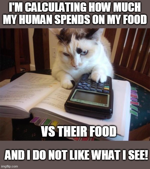 Unfair |  I'M CALCULATING HOW MUCH MY HUMAN SPENDS ON MY FOOD; VS THEIR FOOD; AND I DO NOT LIKE WHAT I SEE! | image tagged in math cat,memes,cat food | made w/ Imgflip meme maker