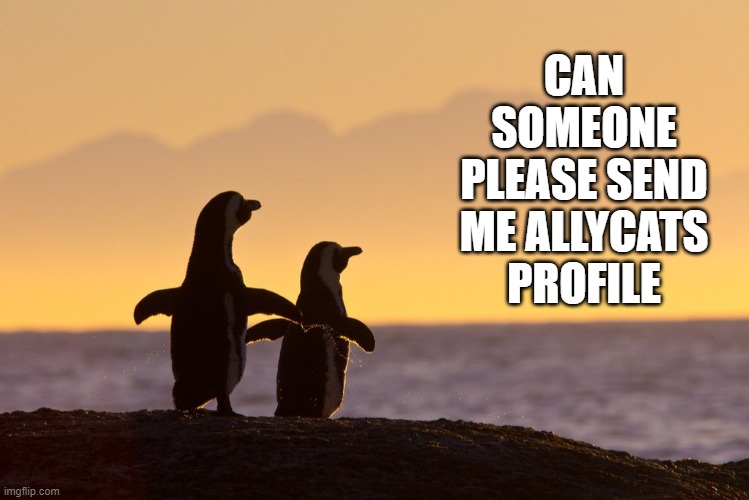 ples | CAN SOMEONE PLEASE SEND ME ALLYCATS PROFILE | image tagged in penguins | made w/ Imgflip meme maker