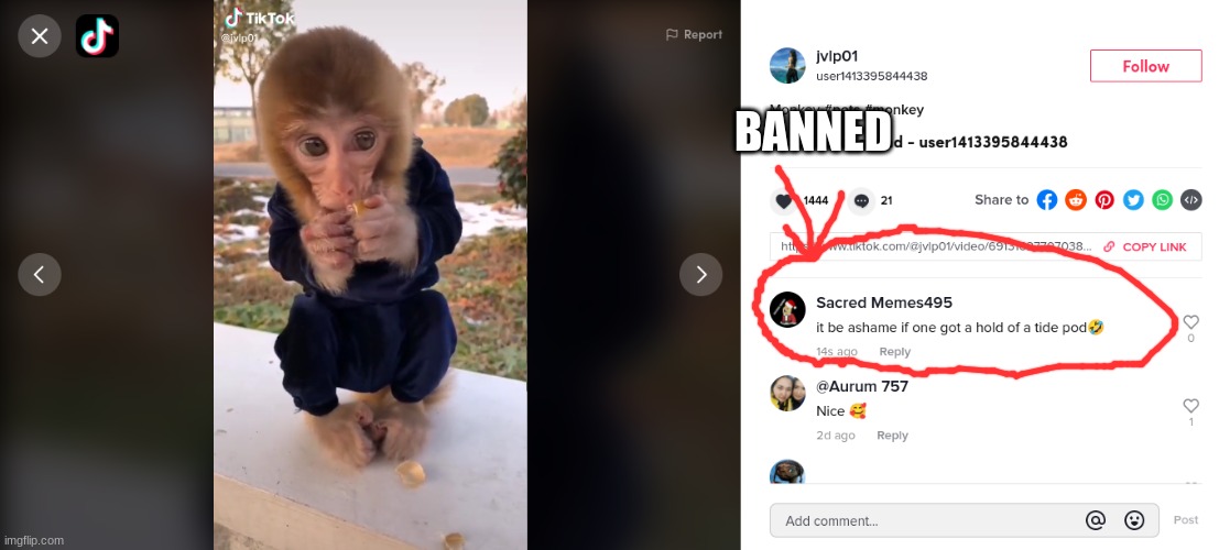 i will get banned | BANNED | image tagged in tik tok,tide pods | made w/ Imgflip meme maker
