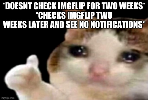 sad but true | *DOESNT CHECK IMGFLIP FOR TWO WEEKS*
*CHECKS IMGFLIP TWO WEEKS LATER AND SEE NO NOTIFICATIONS* | image tagged in sad cat thumbs up | made w/ Imgflip meme maker