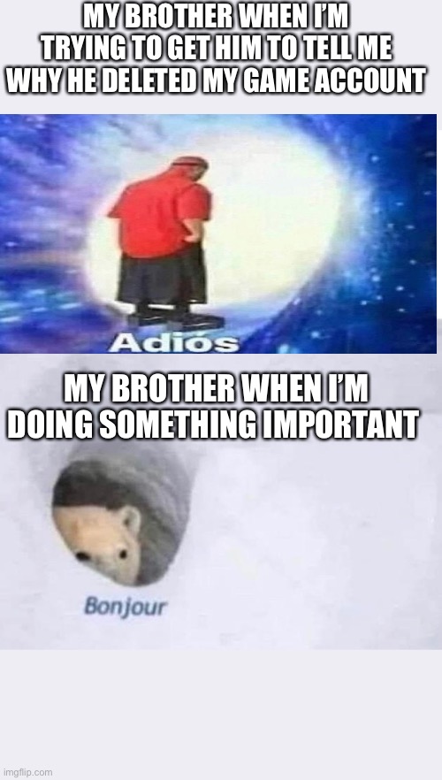 Omg | MY BROTHER WHEN I’M TRYING TO GET HIM TO TELL ME WHY HE DELETED MY GAME ACCOUNT; MY BROTHER WHEN I’M DOING SOMETHING IMPORTANT | image tagged in bonjour | made w/ Imgflip meme maker