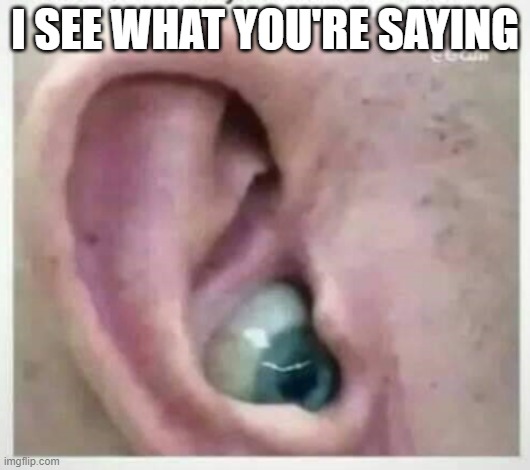 earie | I SEE WHAT YOU'RE SAYING | image tagged in funny memes | made w/ Imgflip meme maker