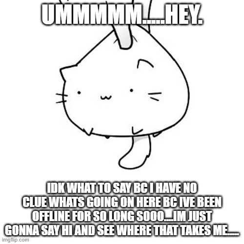 ummmm.....hi? | UMMMMM.....HEY. IDK WHAT TO SAY BC I HAVE NO CLUE WHATS GOING ON HERE BC IVE BEEN OFFLINE FOR SO LONG SOOO....IM JUST GONNA SAY HI AND SEE WHERE THAT TAKES ME..... | image tagged in cat | made w/ Imgflip meme maker