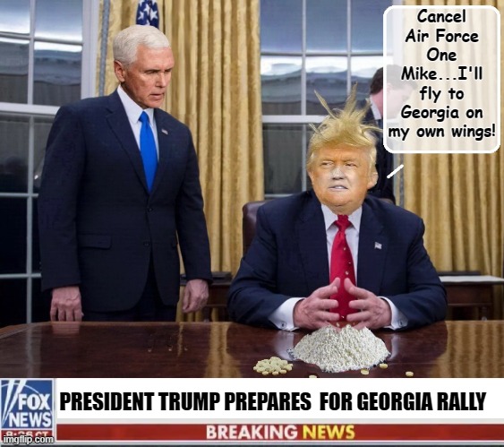 Floating in a haze of Adderall, Trump launches war against his top two  enemies...democracy and reality | Cancel Air Force One Mike...I'll fly to Georgia on my own wings! PRESIDENT TRUMP PREPARES  FOR GEORGIA RALLY | image tagged in mike pence,donald trump,election 2020,trump rally | made w/ Imgflip meme maker
